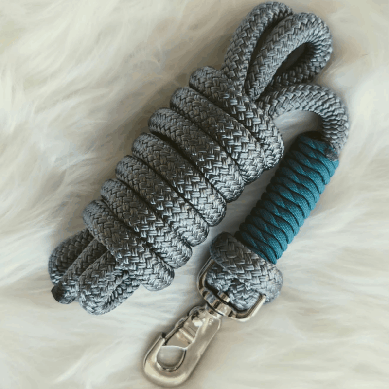 laisse-grise-