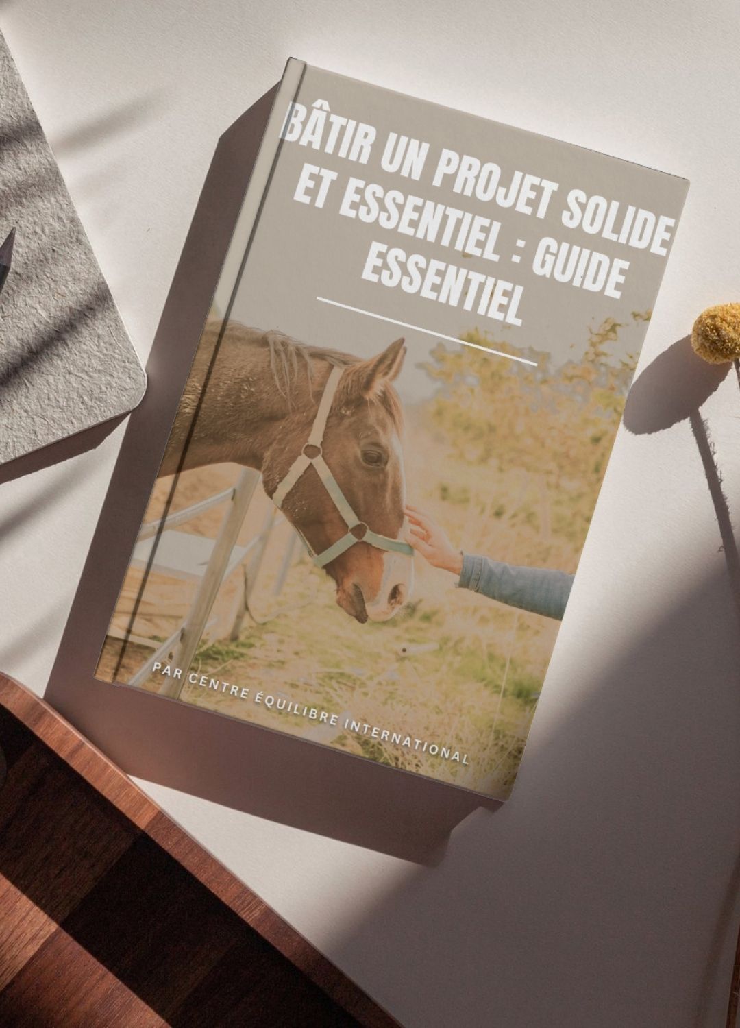 guide essentiel